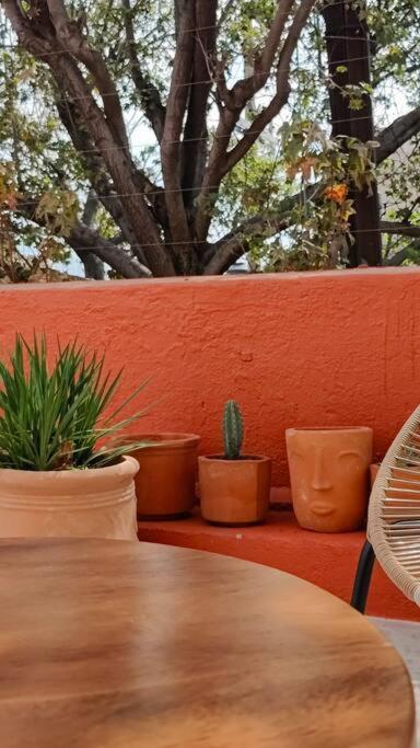 Casa Del Desierto Villa Guadalajara Dış mekan fotoğraf